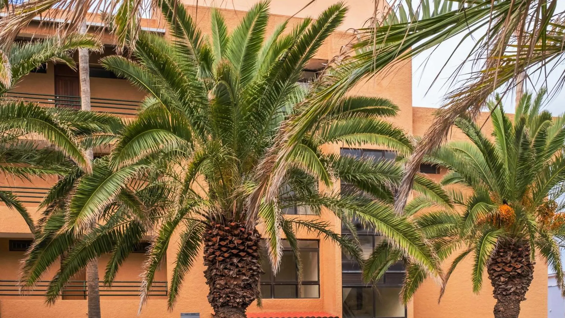 Live Punta Columbus Pool & Beach Front Punta Del Hidalgo Apartment
